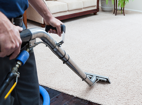 Your Guide to Finding the Right Carpet Cleaner